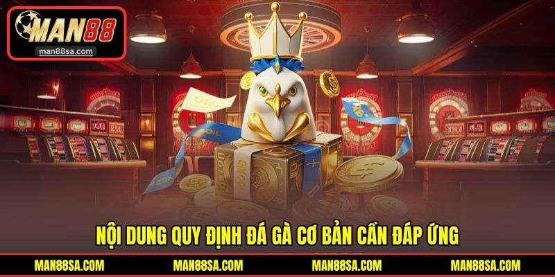 Quy định cơ bản trong thi đấu đá gà hấp dẫn