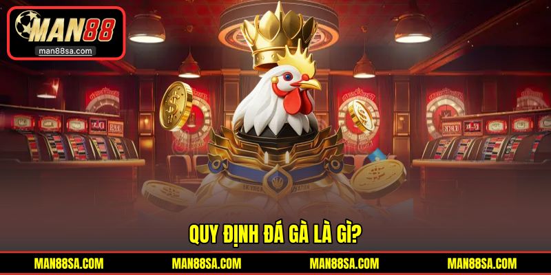 Nội dung quy định trải nghiệm đá gà