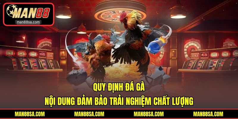 Quy định đá gà